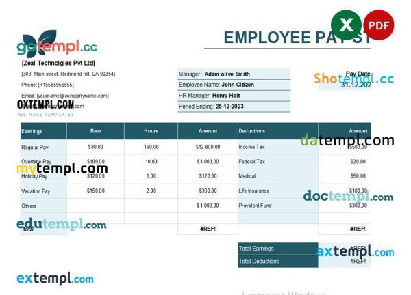 India Zeal Technologies Pvt Ltd pay stub template in Excel and PDF format