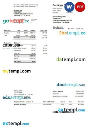 NO DROP CAR WASH pay stub template in PDF and Word formats