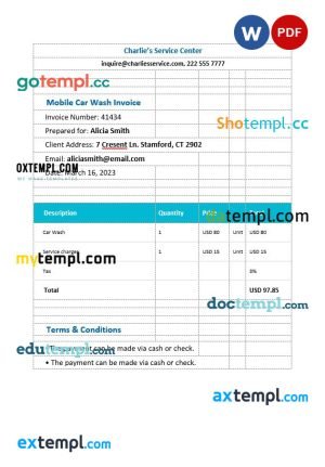 Mobile Car Wash Invoice template in word and pdf format