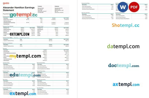 Mraz and Sons earnings statement Word and PDF template