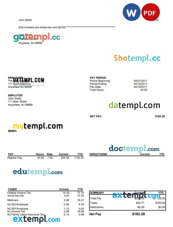 North Main Avenue pay stub Word and PDF template