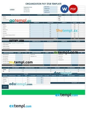 Organization Paystub Word and PDF template