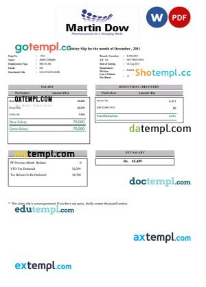 Employee pay stub Word and PDF template, version 5
