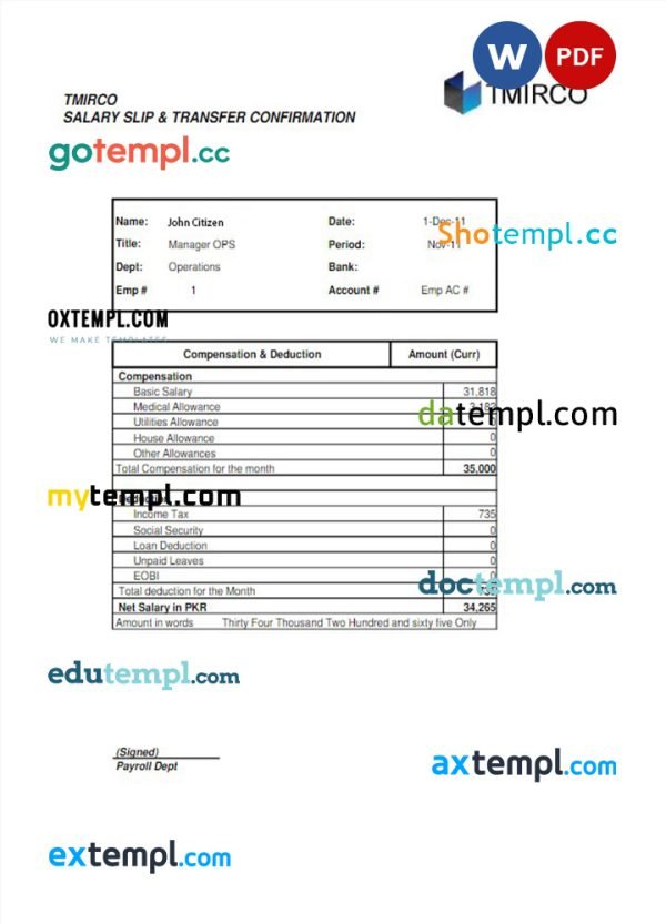 PAKISTAN TMIRCO company earning statement template in Word and PDF formats