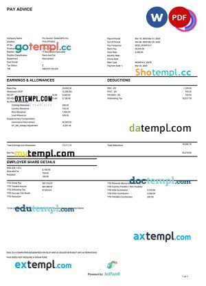 Company Salary pay stub Word and PDF template