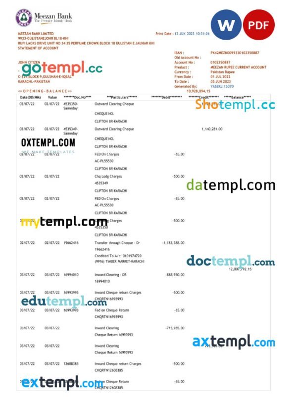 Pakistan Meezan Bank statement Word and PDF template