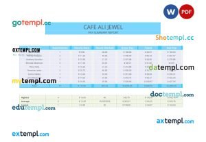 Pay summary report pay stub Word and PDF template