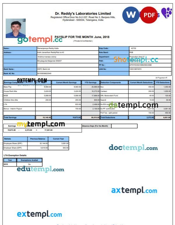 laboratory payslip Word and PDF template