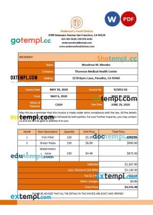 Iran Zamin Bank statement template in Excel and PDF format