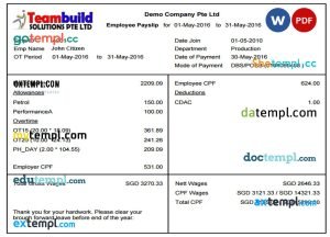 TEAMBUILD solutions Ptr Ltd payslip pay stub template in Word and PDF formats