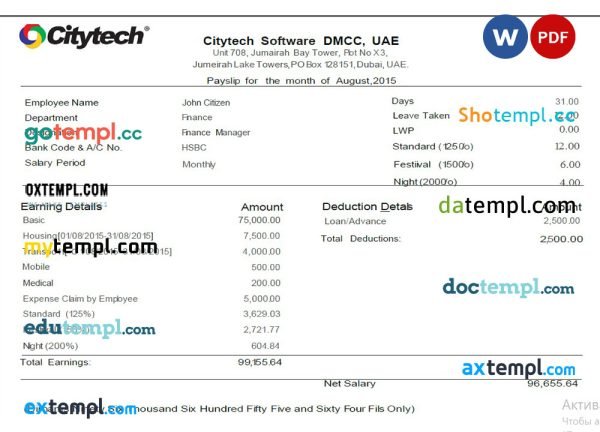 UAE Citytech Software DMCC UAE pay stub template in Word and PDF format