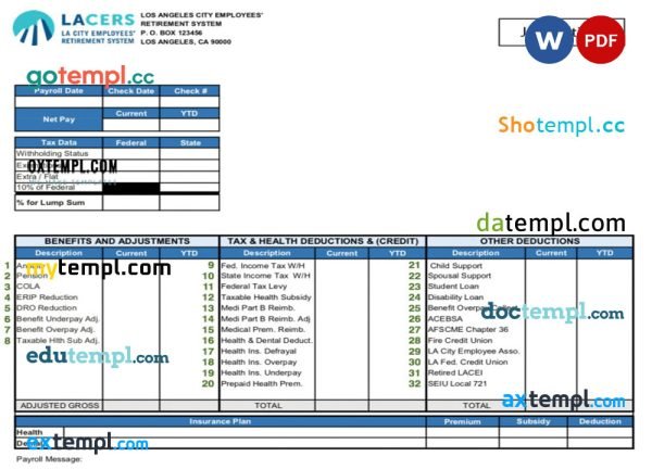 USA LA CITY employees’ retirement system paystub template in Word and PDF formats