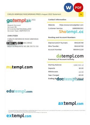 USA IT technologies company earning statement template in Word and PDF format