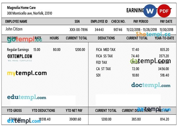 USA VIRGINIA Magnolia Home Care earning statement template in Word and PDF formats