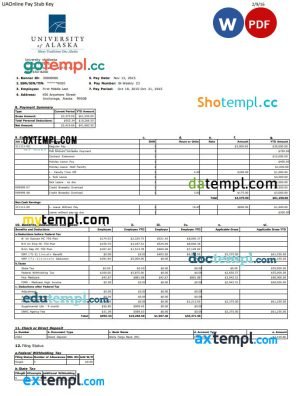 USA Florida Momentum Solar LLC paystub Word and PDF template, 3 pages