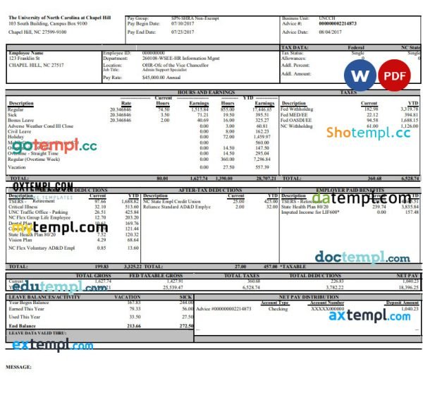 University of North Carolina pay stub Word and PDF template