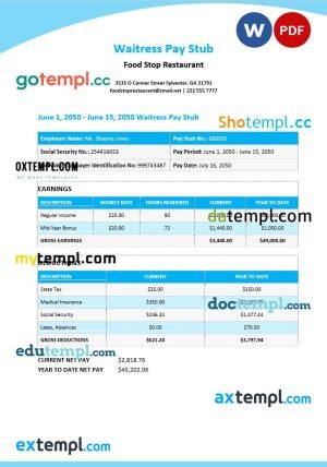 Waitress Pay Stub Word and PDF template