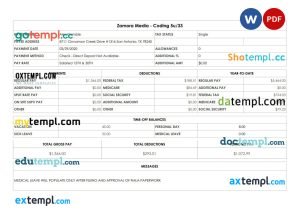 Zamora Media Coding pay stub Word and PDF template