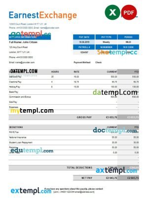 SHIELDGEO payslip pay stub template in Word and PDF formats
