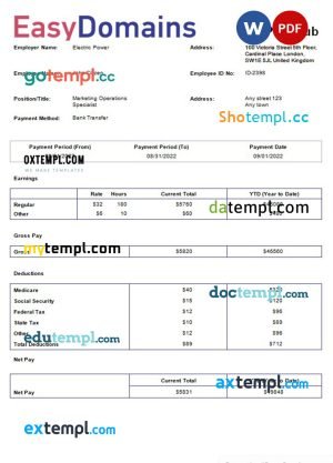 USA Target retail company pay stub Word and PDF template