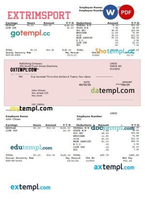 gambling company pay stub template in Word and PDF formats