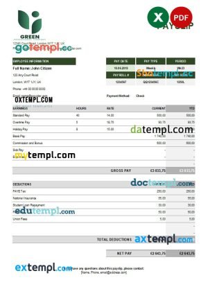 Hourly wage paystub Word and PDF template, version 2