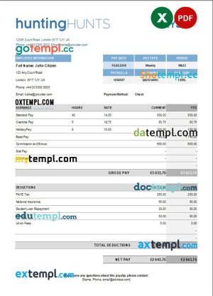 USA THE CLEAN Janitorial Mainenance Inc pay stub template in Word and PDF formats