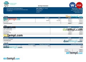 information technology company paystub template in Word and PDF formats