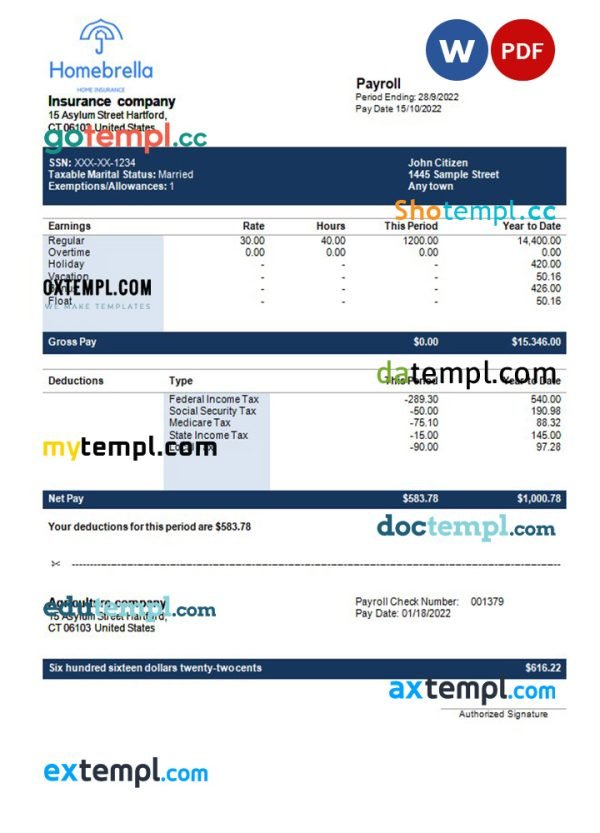 insurance company fully editable earning statement template in Word and PDF formats