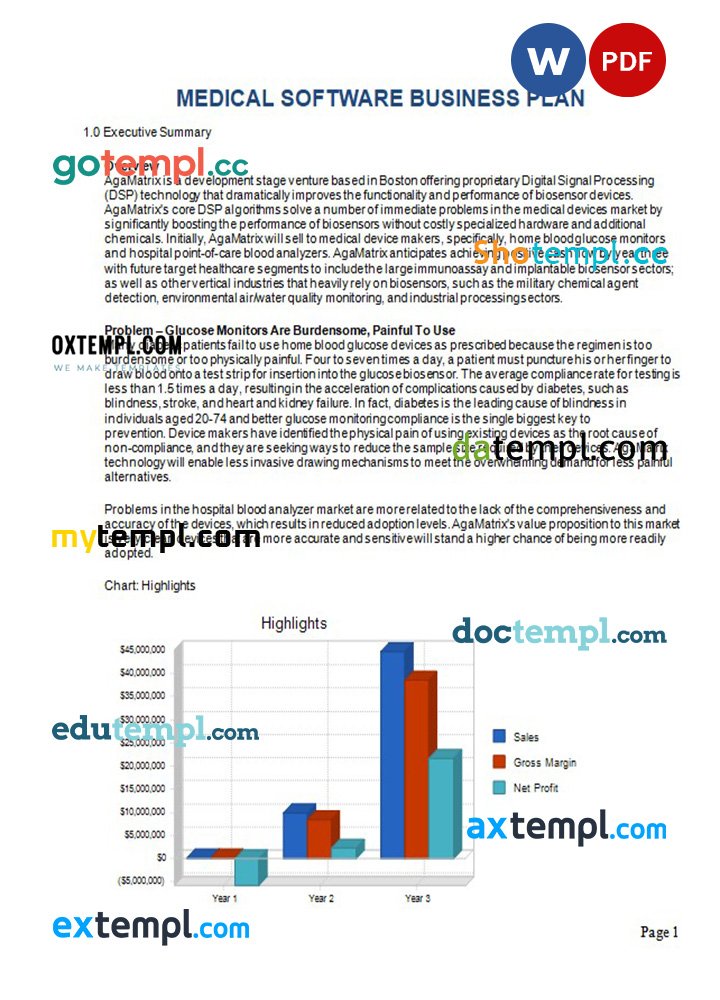 free medical software business plan template in Word and PDF formats