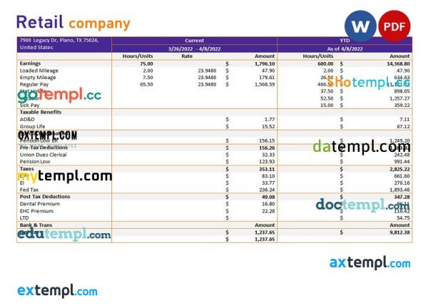 retail company earning statement in Word and PDf formats