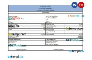 Salary pay stub template in Word and PDF template, version 2