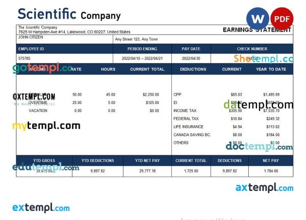 scientific company payroll statement in Word and PDF formats