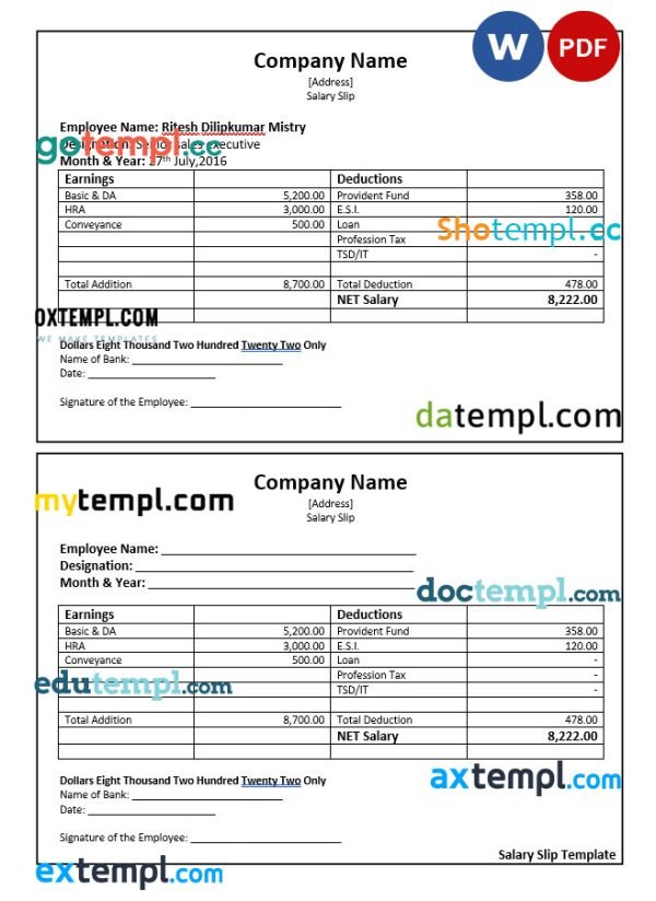 Senior sales executive salary slip Word and PDF template