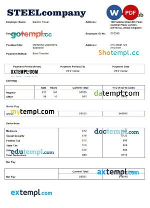 Findingluv specialits company pay stub template in PDF and Word format