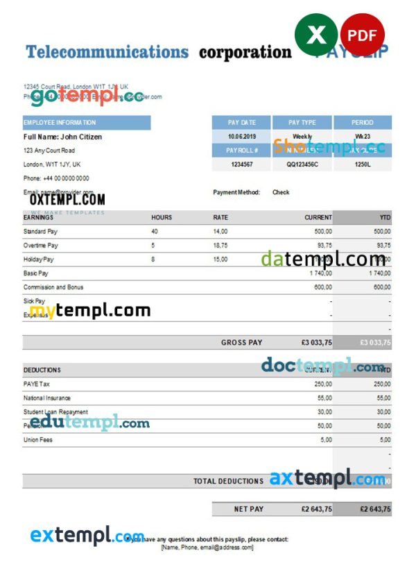 telecommunications corporation earning statement in Excel and PDF formats