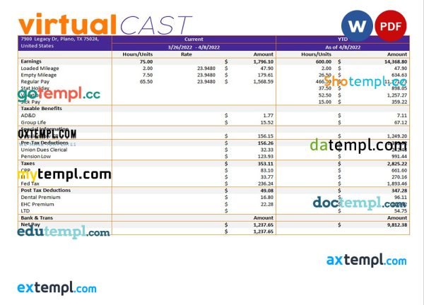 video conferencing company payroll template in Word and PDF formats