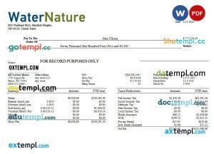 water company editable earning statement template in Word and PDF formats