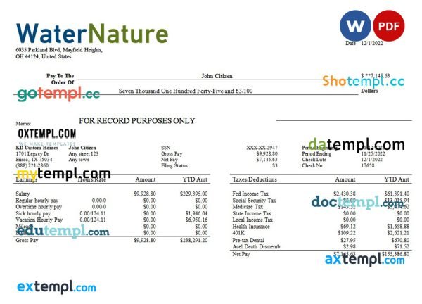 water company editable earning statement template in Word and PDF formats