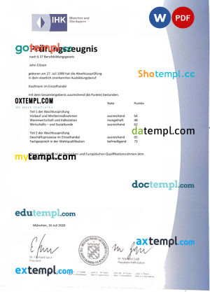 Corporation pay stub Word and PDF template
