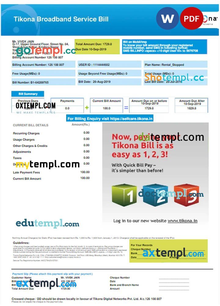 bank statement of account template, Word and PDF format, completely editable