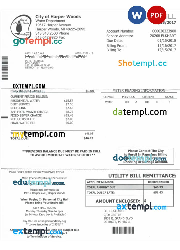 Angola LNG proof of address utility bill template in Word and PDF format