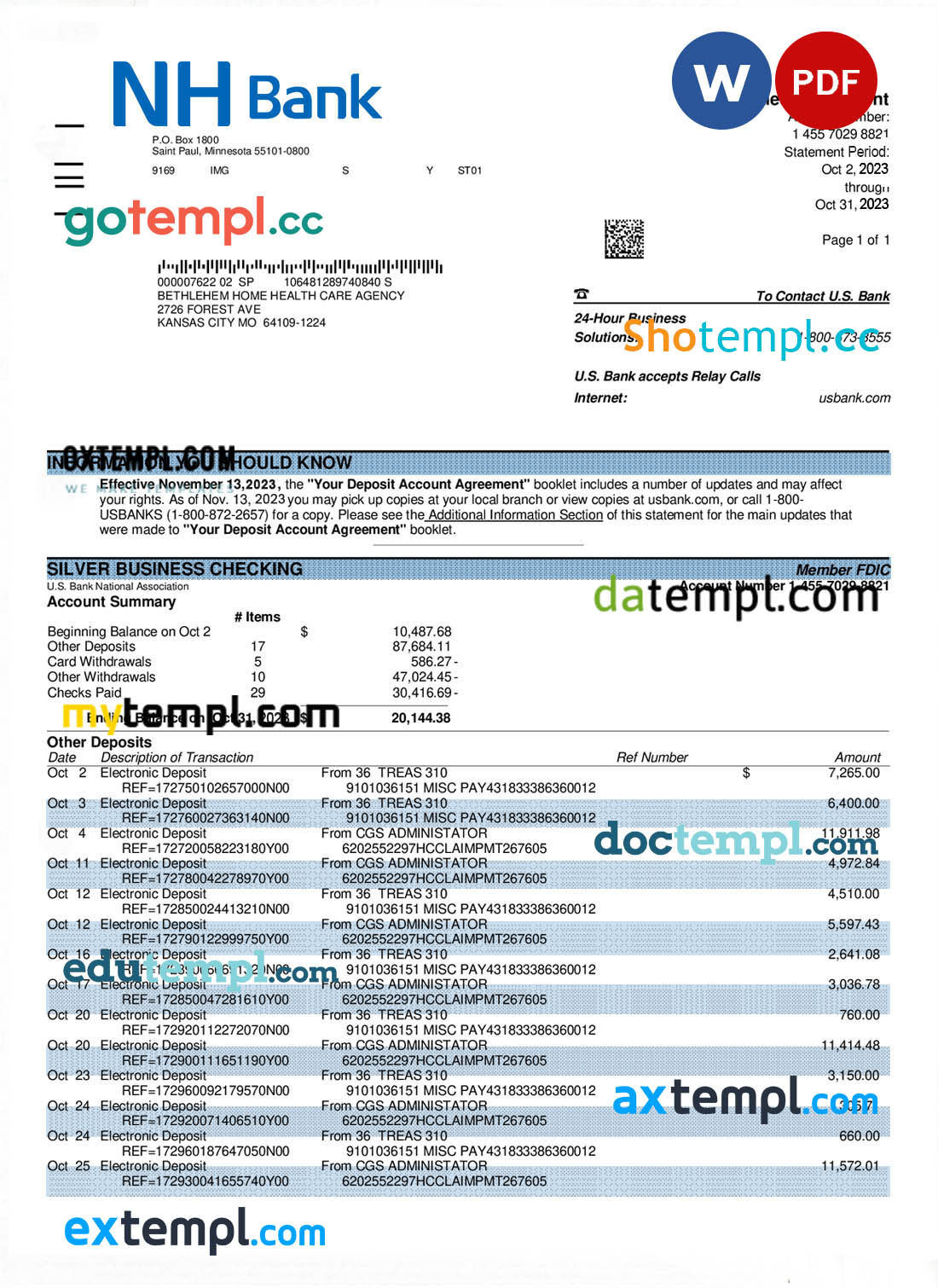 USA TCF Bank bank statement template in Word and PDF format