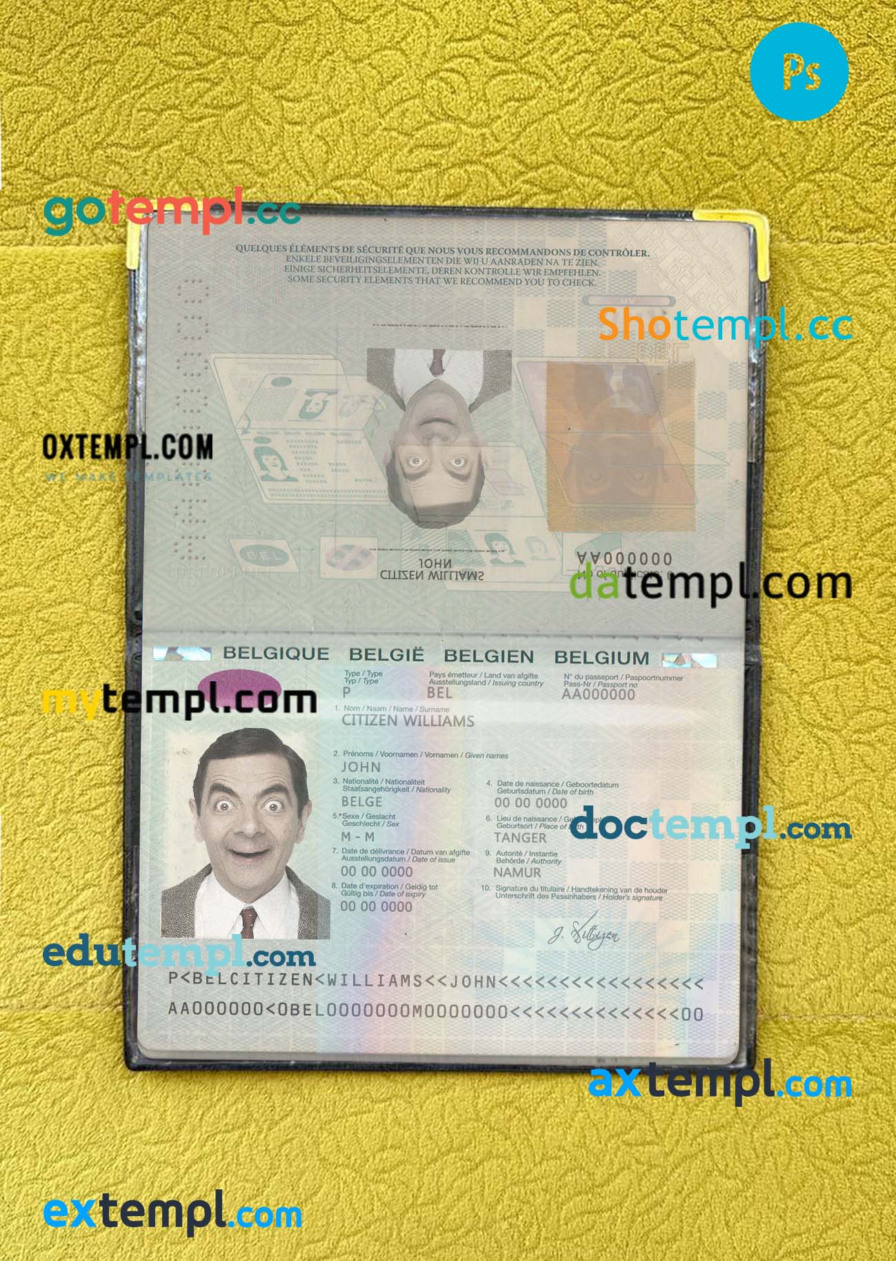 free Gabon cat (animal, pet) passport PSD template, fully editable