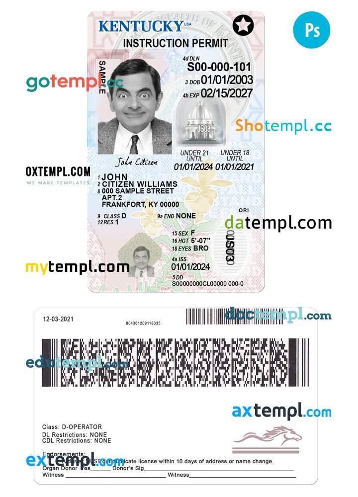 USA California state vertical driving license editable PSD template, under 21