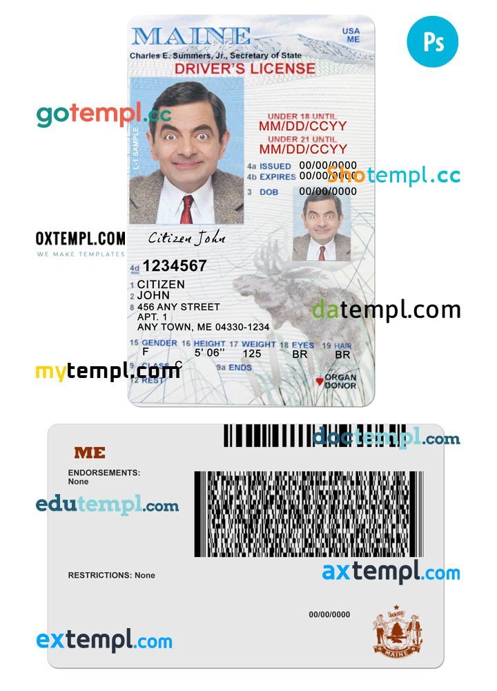 USA Maine state vertical driving license editable PSD template, under 21