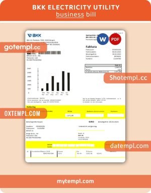 BKK electricity business utility bill, Word and PDF template