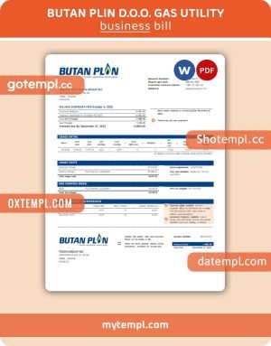 Butan Plin d.o.o. gas utility business bill, Word and PDF template