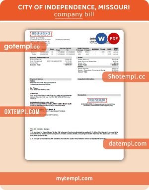 USA Payoneer account statement Word and PDF template