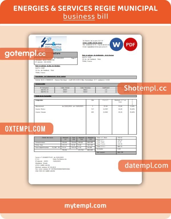 Energies & Services Regie Municipal d Electricite Sarre-Union electricity utility business bill, Word and PDF template